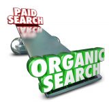 organic search