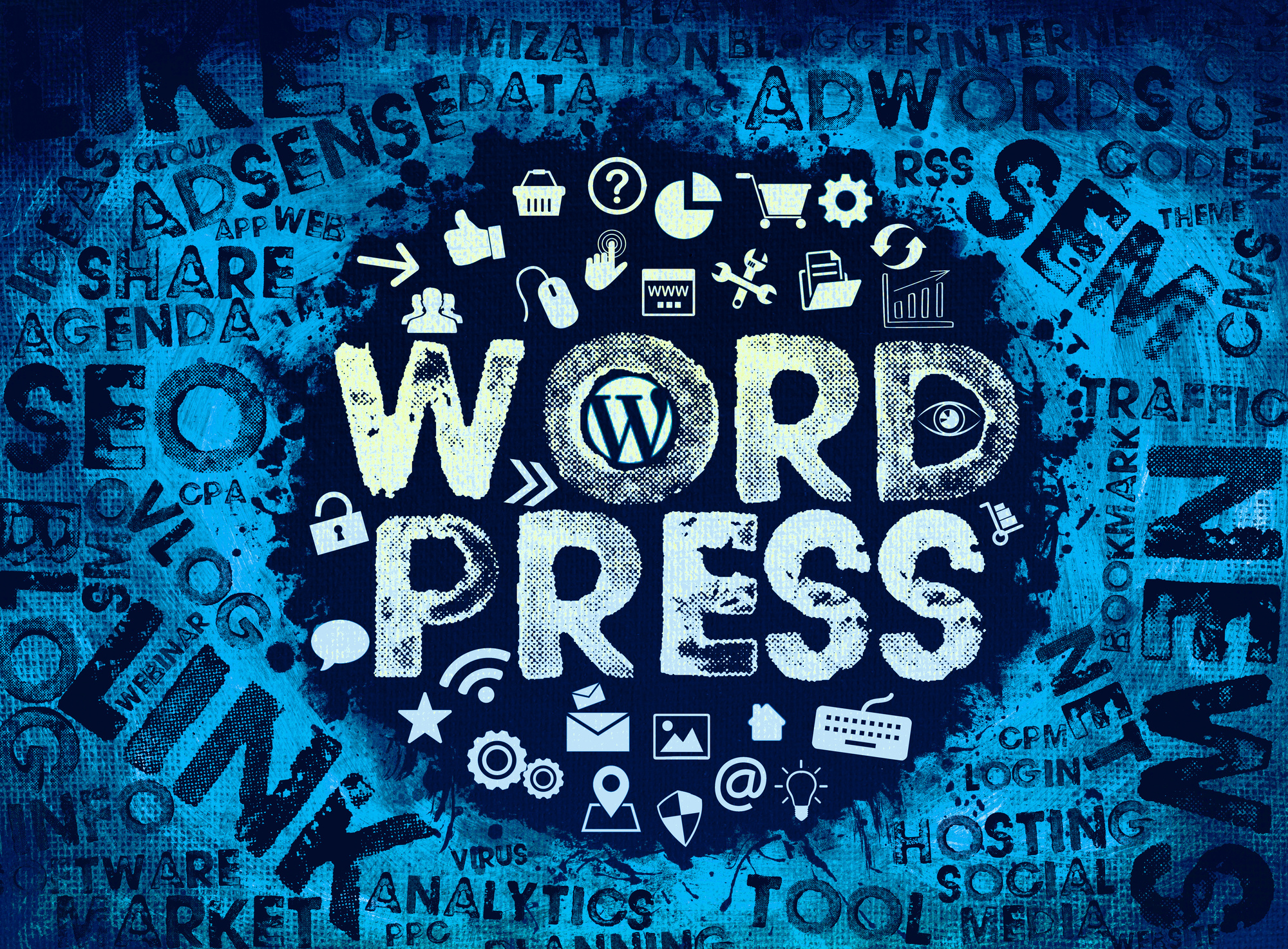 wordpress seo