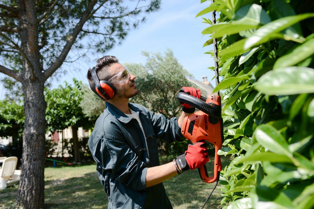 landscaping business