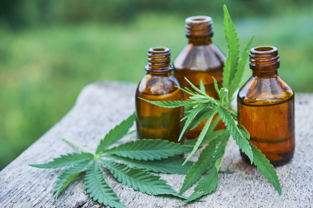 cbd oil and leaves
