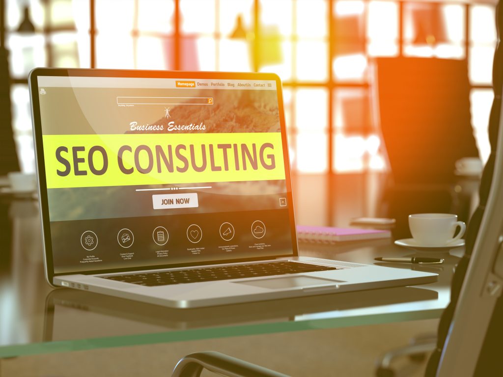 SEO Consulting